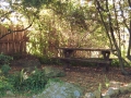 Relax with a good book in the garden